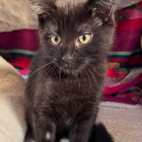Photo of Harriet 