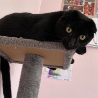 Photo of C1421 Marlow