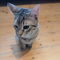 Photo of Sam Winchester