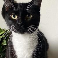 Photo of Ivy