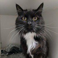 Photo of 🥞 Crepes 5730 🥞