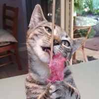 Photo of Tabitha
