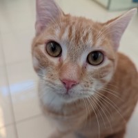 Photo of Bobby Singer