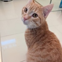 Photo of Bobby Singer