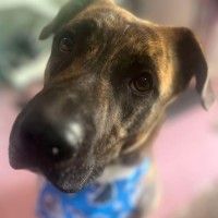 Photo of Trivial Pursuit