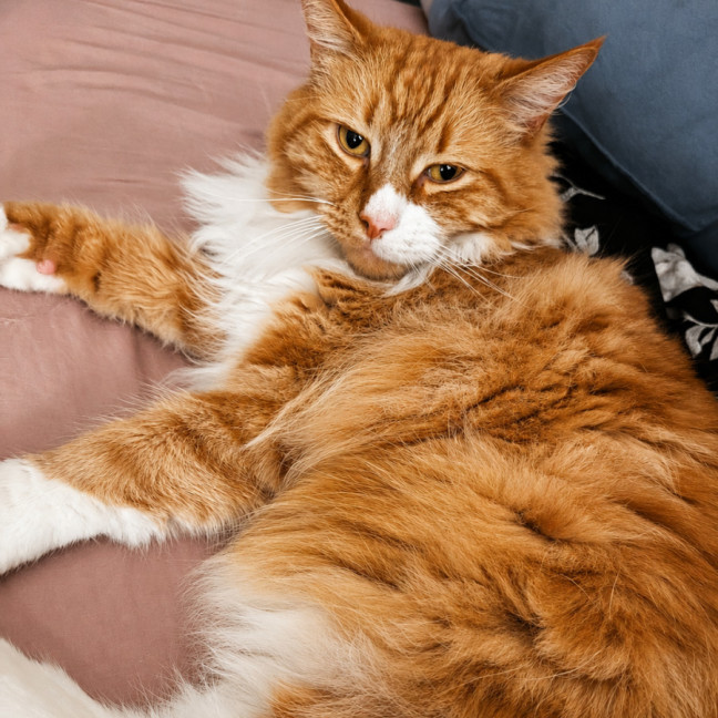 Photo of Pablo