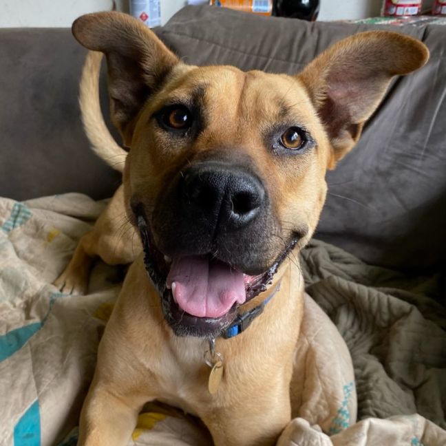 Photo of Hocus