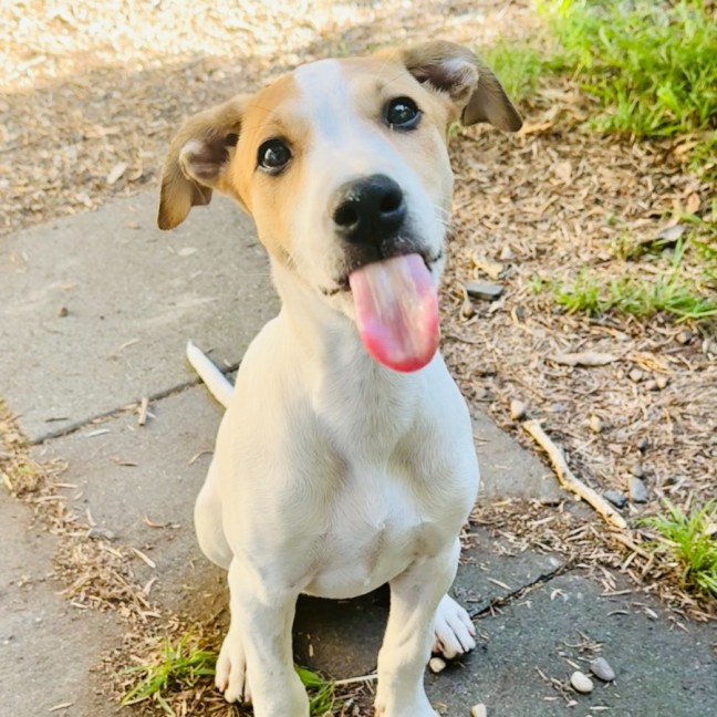 Photo of Quinnie