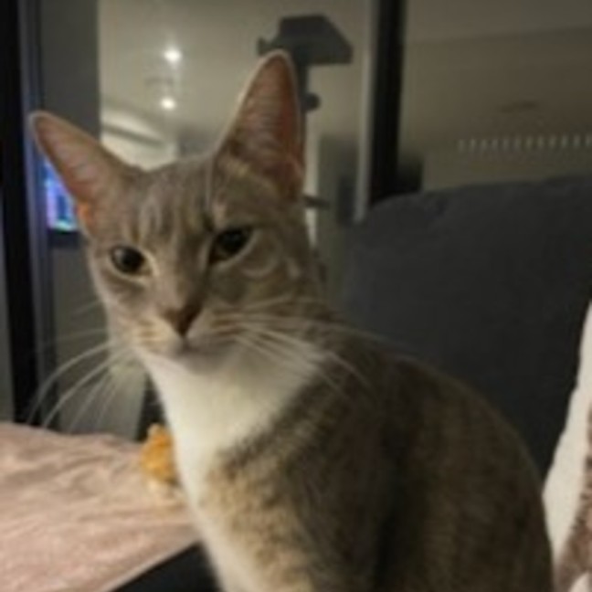 Photo of C1504 Dinky