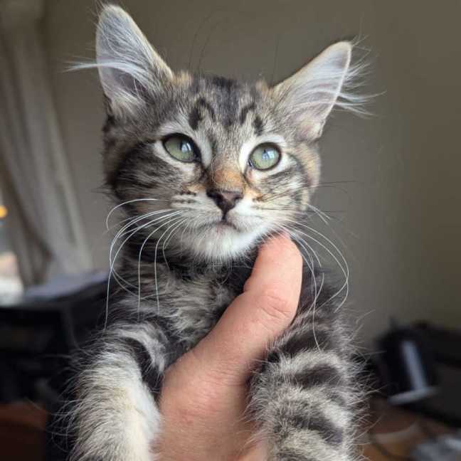 Photo of Lorenzo