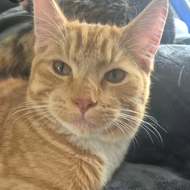 Photo of Robby