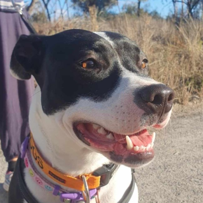 Photo of Maggie Junee