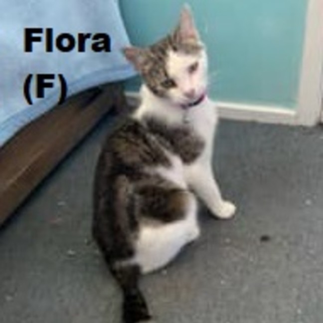 Photo of Flora