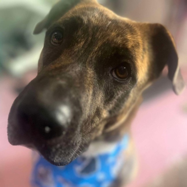 Photo of Trivial Pursuit