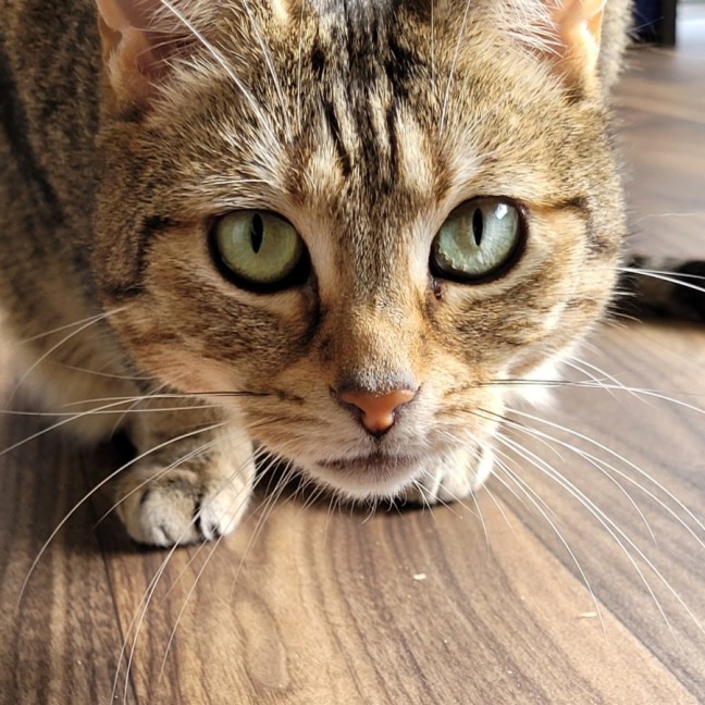 Photo of Sara & Marley