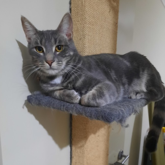 Photo of Muichiro