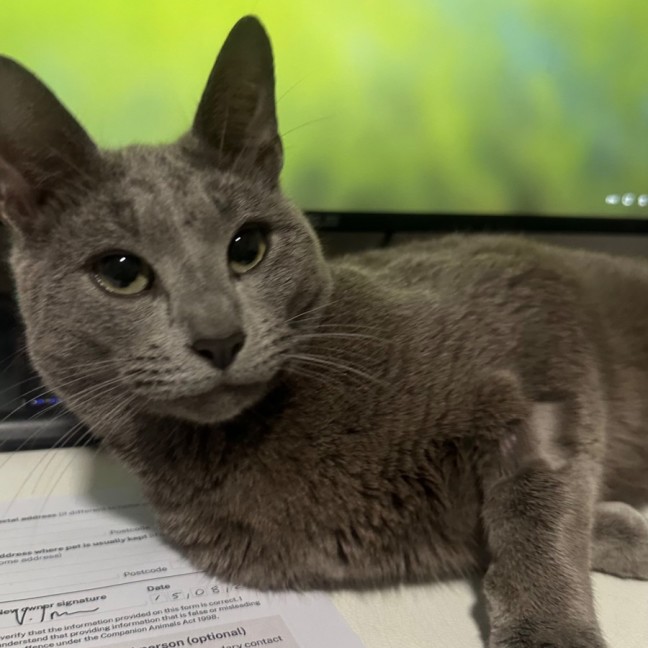 Photo of Nikolai 😻🧵🧶