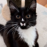 Photo of Charlotte & Benson