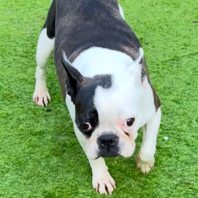 Photo of Polly