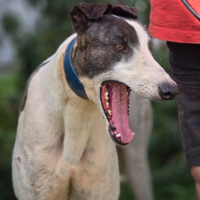 Photo of Deal Breaker