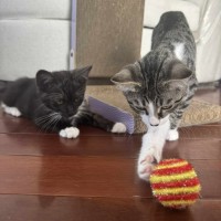 Photo of Freckle And Daffodil