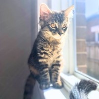 Photo of Gilly
