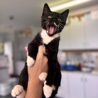 Photo of Burt