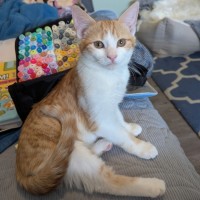 Photo of Ricette (Ricky)