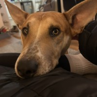 Photo of Worm