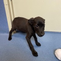 Photo of Argo
