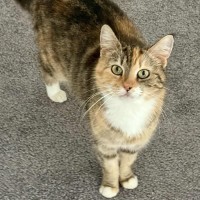 Photo of Indi 