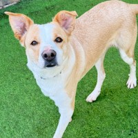Photo of Maisy