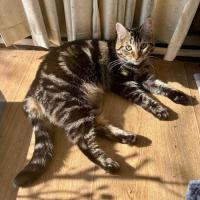 Photo of 🐭 Frankie🐭 