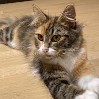 Photo of Heka