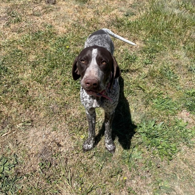 Photo of Remmy