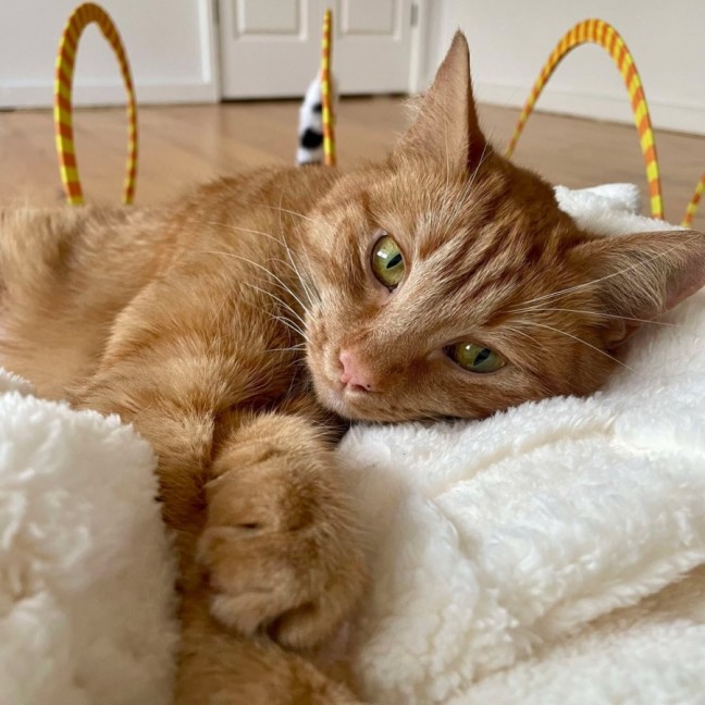 Photo of August 🧡