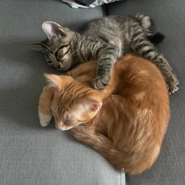Photo of Poppie & Ralphie
