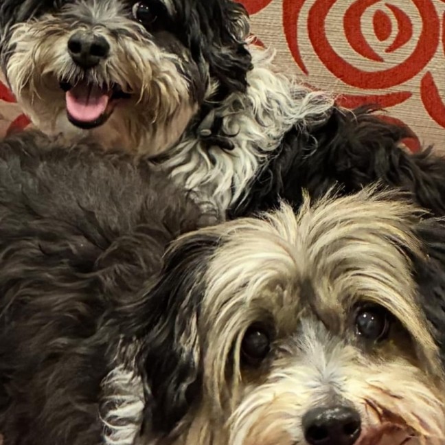 Photo of Libby & Jack