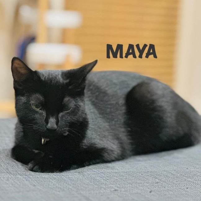 Photo of Benito & Maya