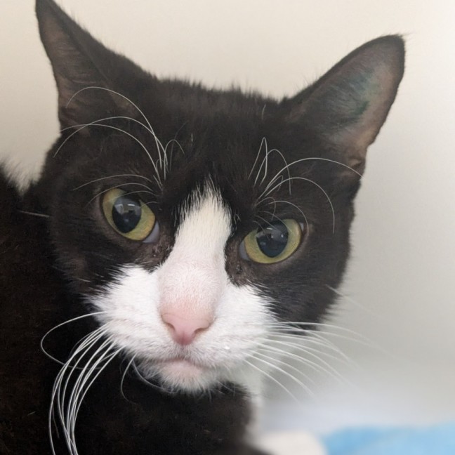 Photo of 🌼 Lorna 5797 🌼