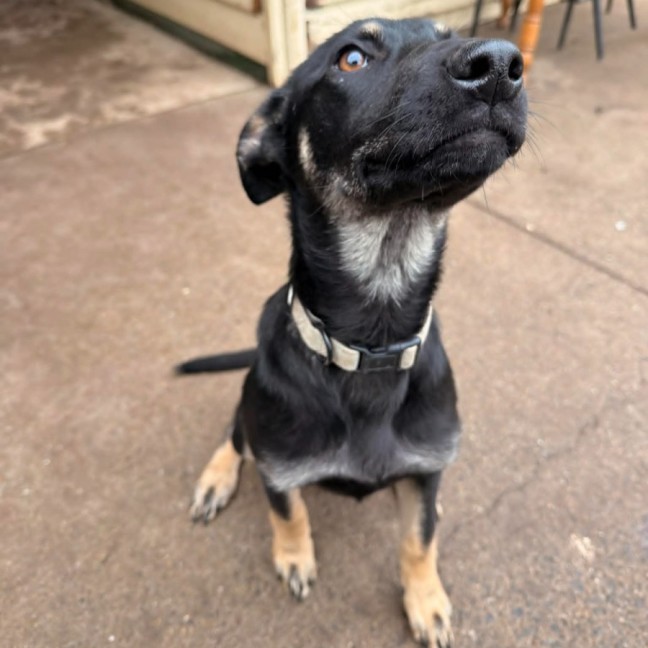 Photo of Echo
