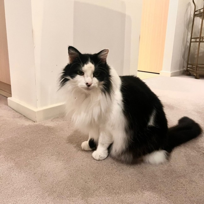 Photo of Barney And Wynstan