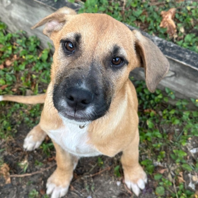 Photo of Vanity Smurf