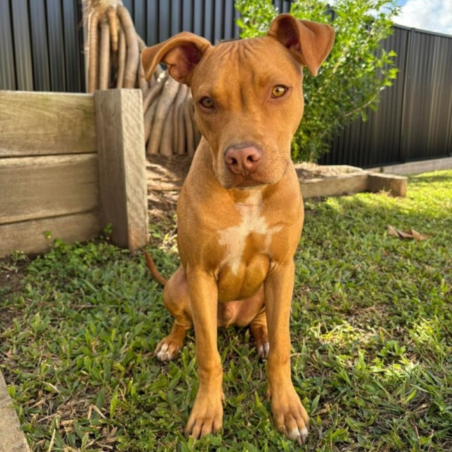Photo of Murphy