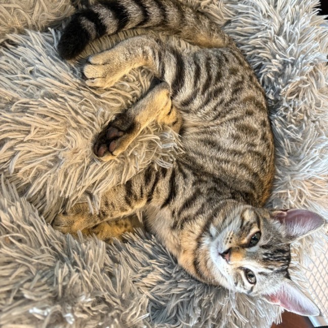 Photo of Lucy