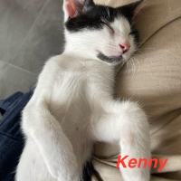 Photo of Kenny
