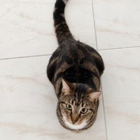 Photo of Nellie