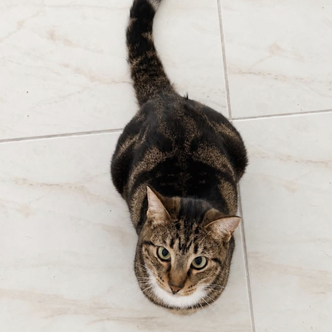 Photo of Nellie