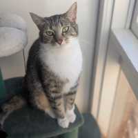 Photo of 🐭 Styx 🐭