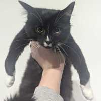 Photo of Charlotte & Benson